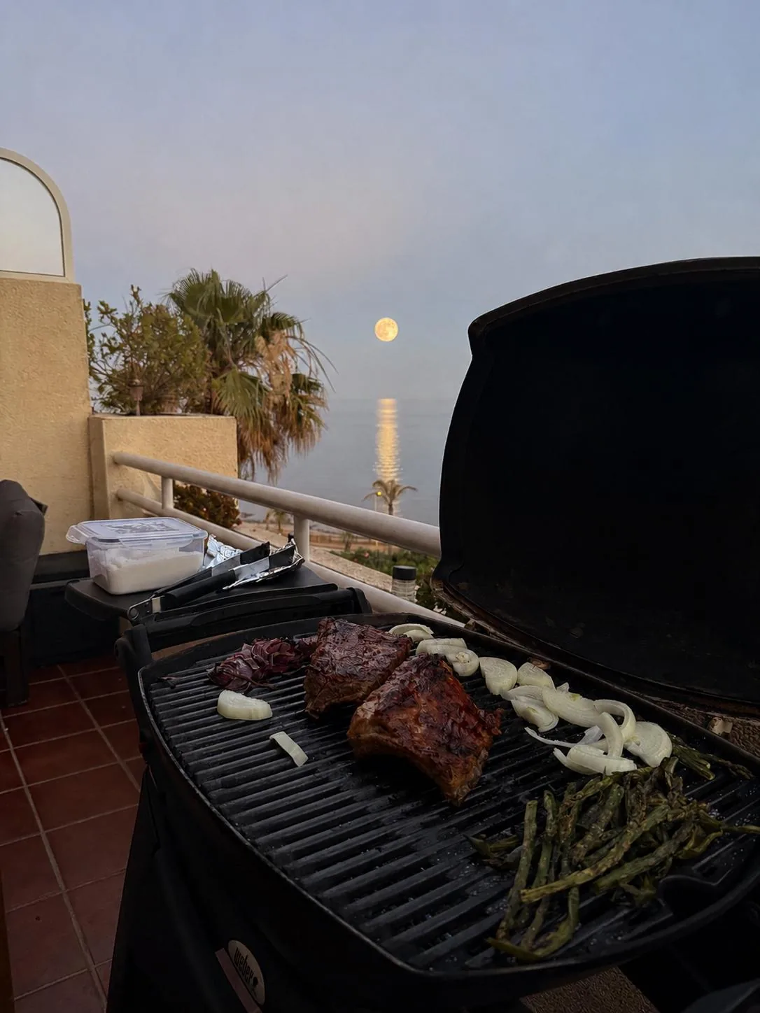 Barbacoa y comida al aire libre